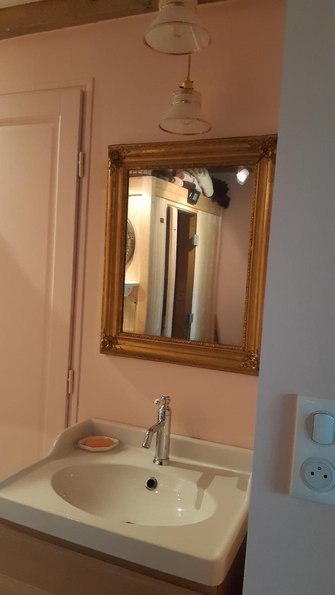 Le Buisson De La Gariole Bed & Breakfast Aubigny-sur-Nere Luaran gambar