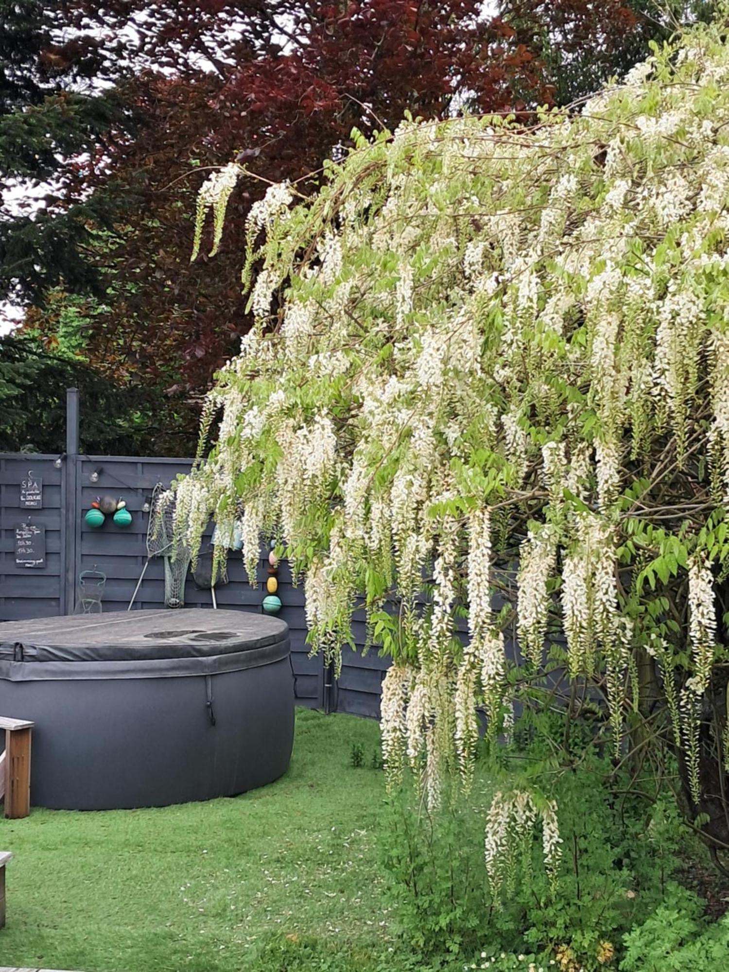 Le Buisson De La Gariole Bed & Breakfast Aubigny-sur-Nere Luaran gambar